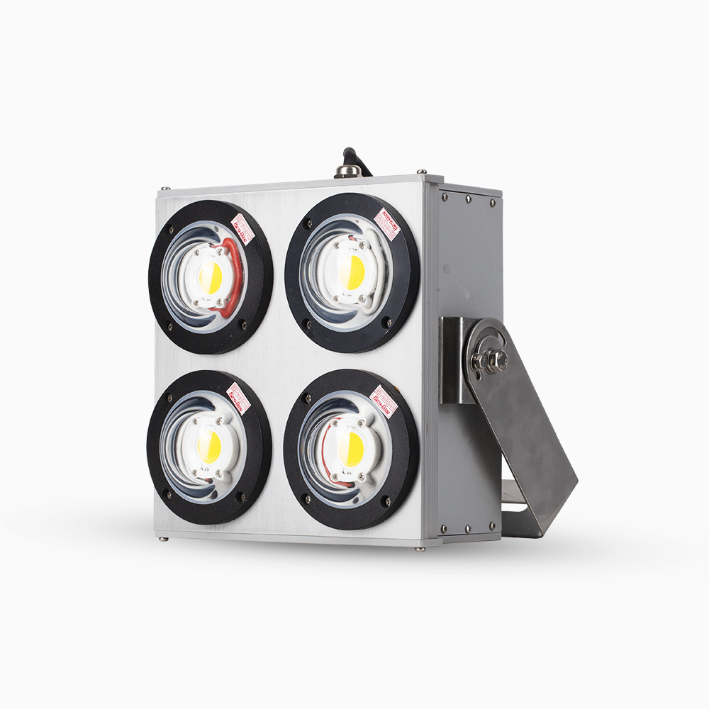 Đèn LED đánh cá 500W COB